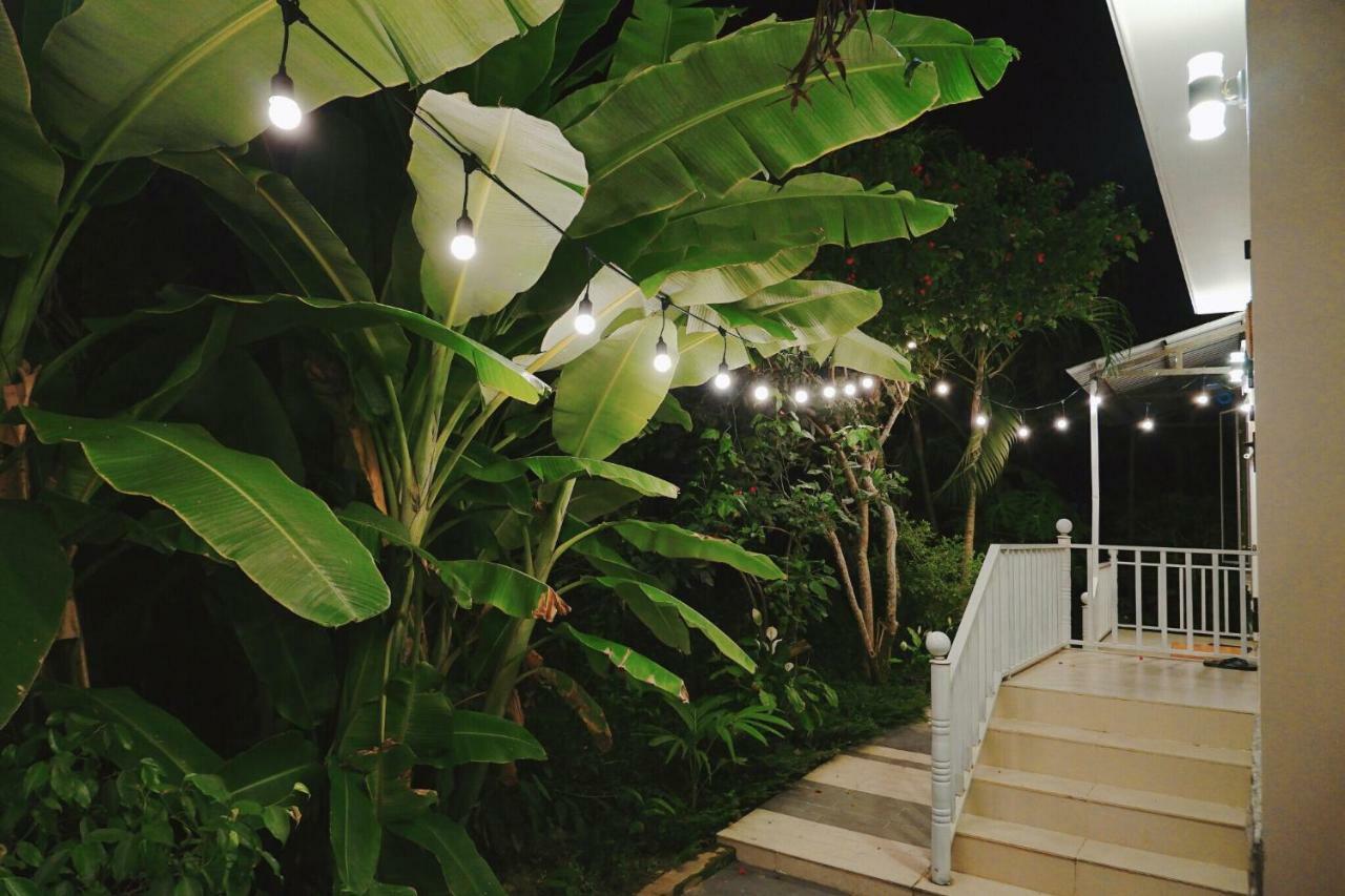 Longan Homestay Hoi An Exterior photo
