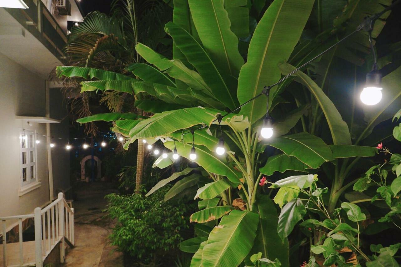 Longan Homestay Hoi An Exterior photo