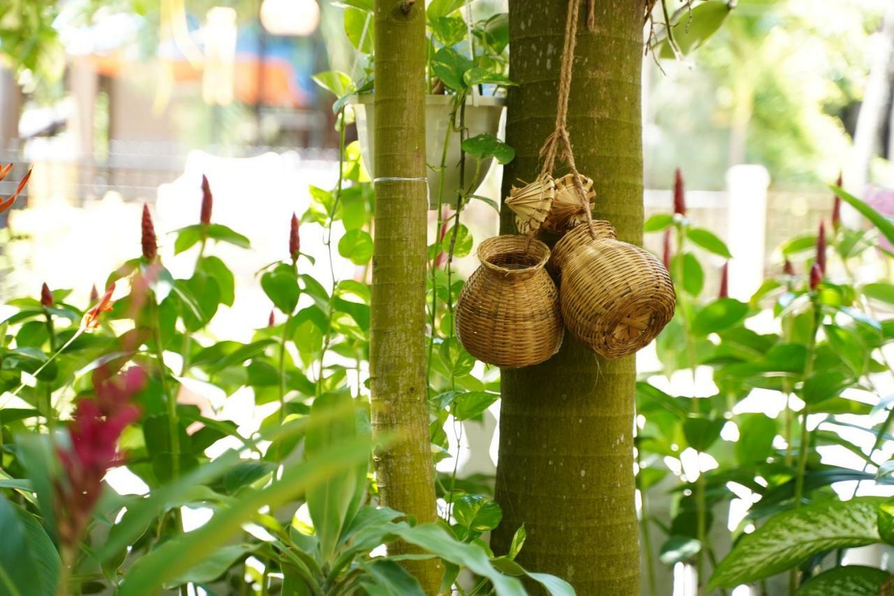 Longan Homestay Hoi An Exterior photo