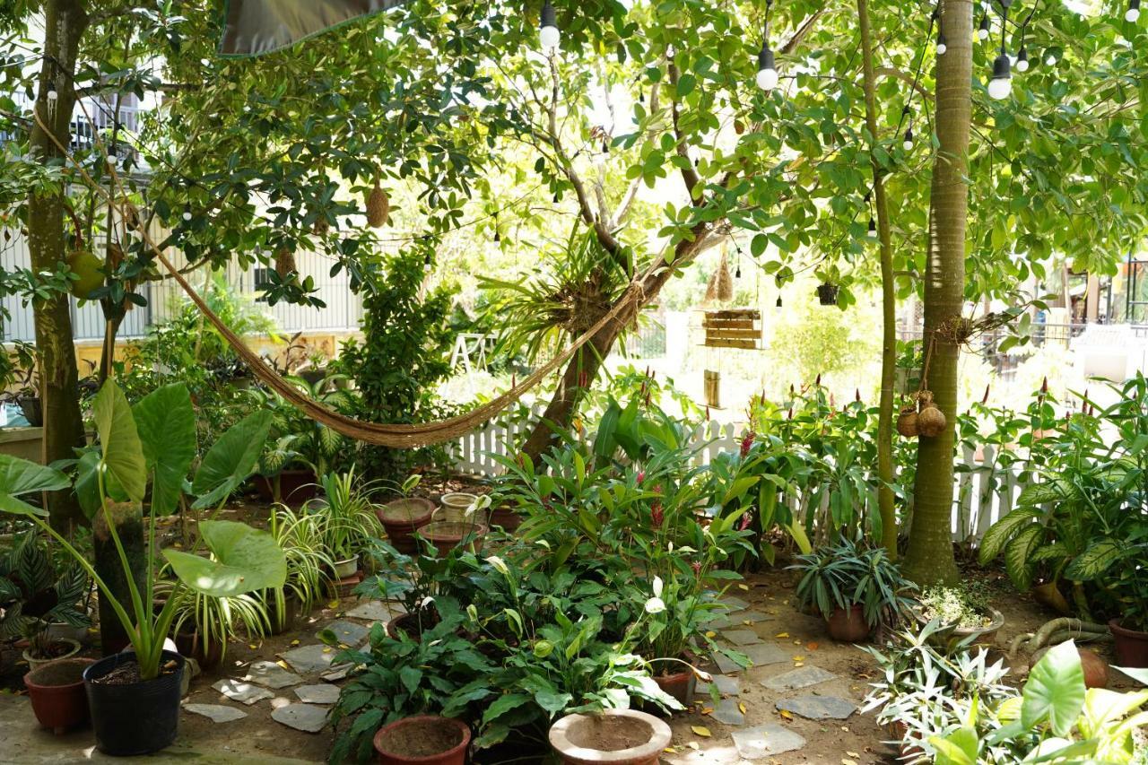 Longan Homestay Hoi An Exterior photo