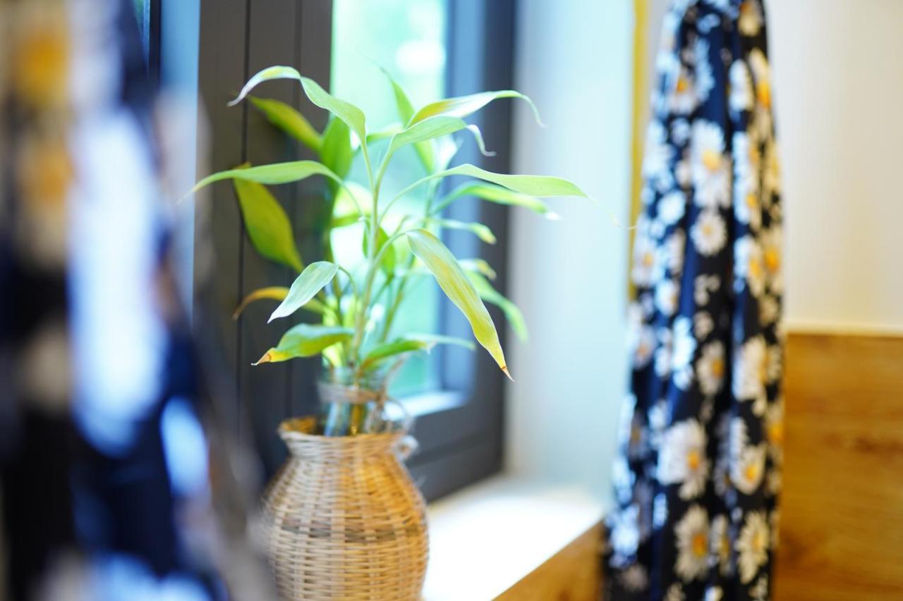Longan Homestay Hoi An Exterior photo